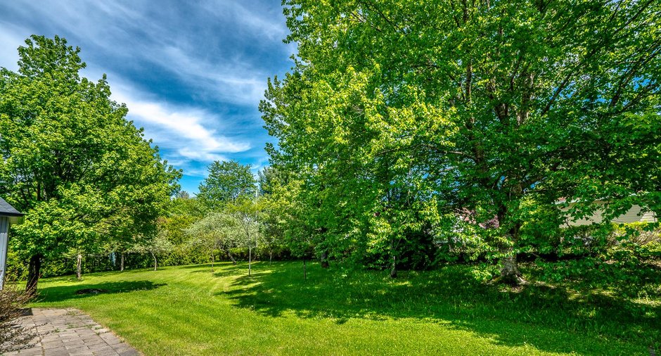 Image  de la propriété