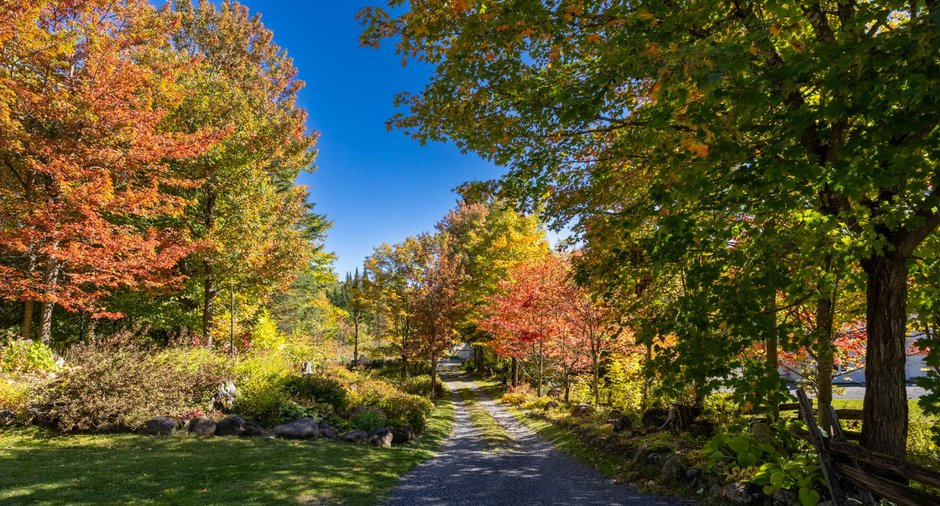 Image  de la propriété