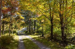 Aperçu de l'image  de la propriété