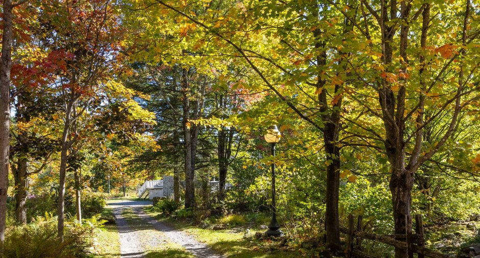 Image  de la propriété