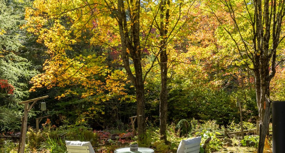 Image  de la propriété