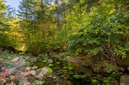 Aperçu de l'image  de la propriété