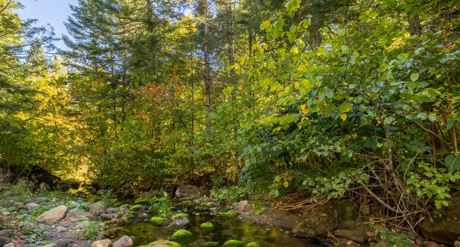 Image  de la propriété