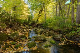 Aperçu de l'image  de la propriété