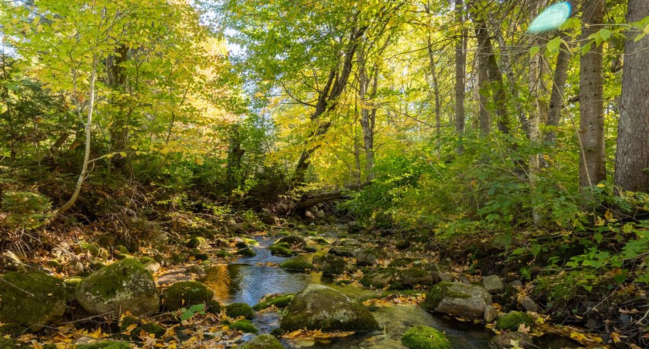 Image  de la propriété