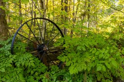 Aperçu de l'image  de la propriété