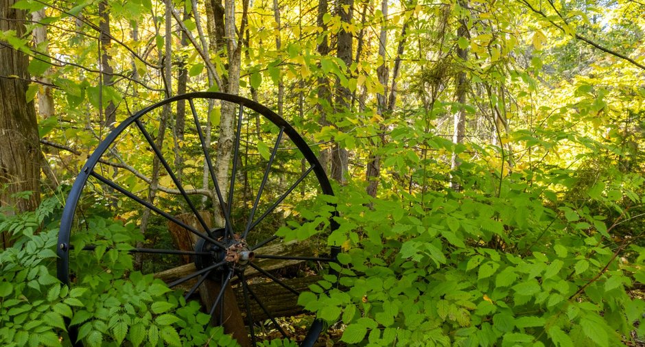 Image  de la propriété