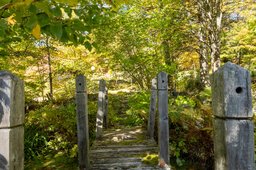 Aperçu de l'image  de la propriété