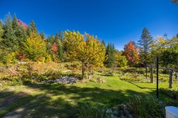 Aperçu de l'image  de la propriété