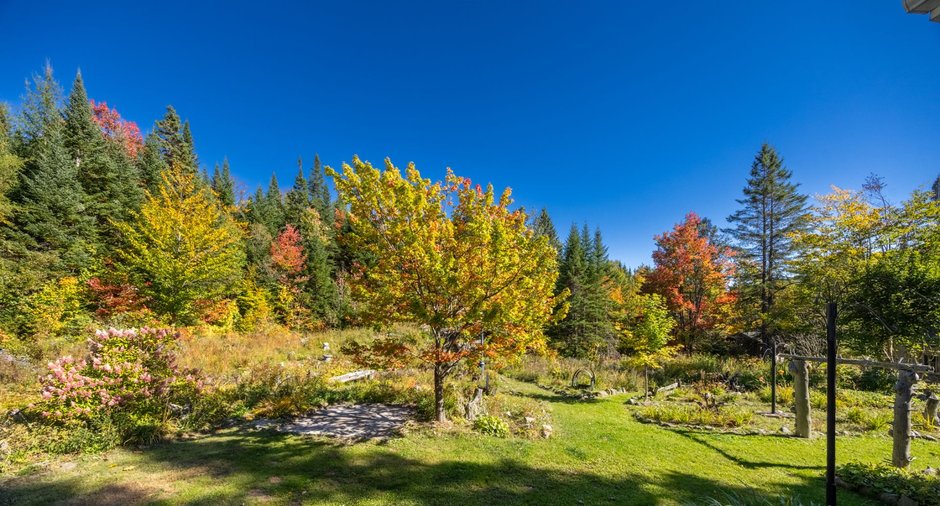 Image  de la propriété