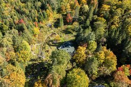 Aperçu de l'image  de la propriété