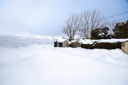 Aperçu de l'image  de la propriété