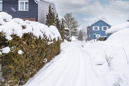 Aperçu de l'image  de la propriété