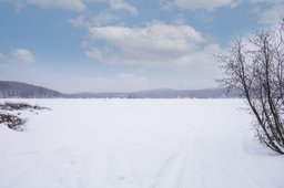 Aperçu de l'image  de la propriété